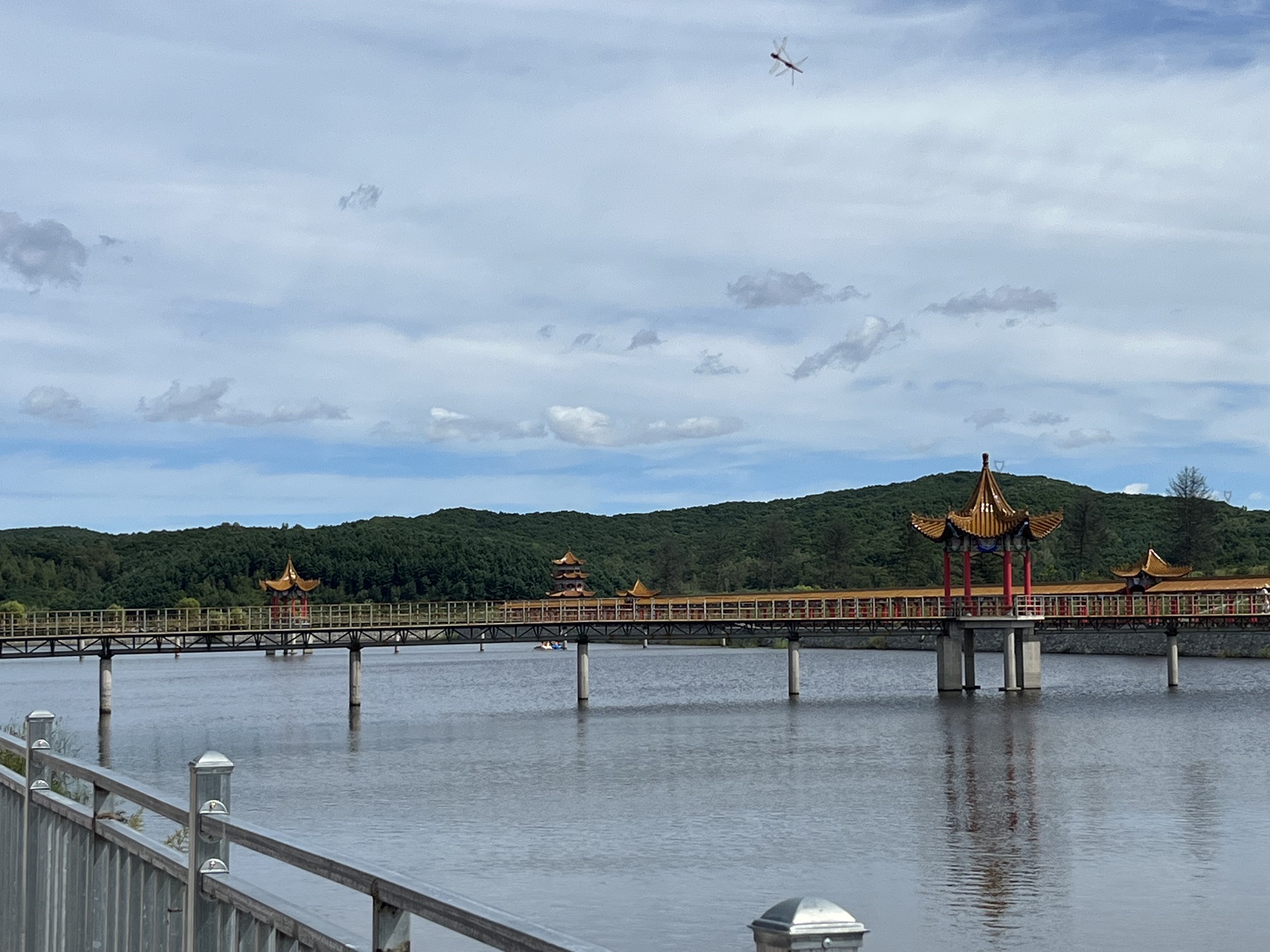 梨花谷旅行图片 2
