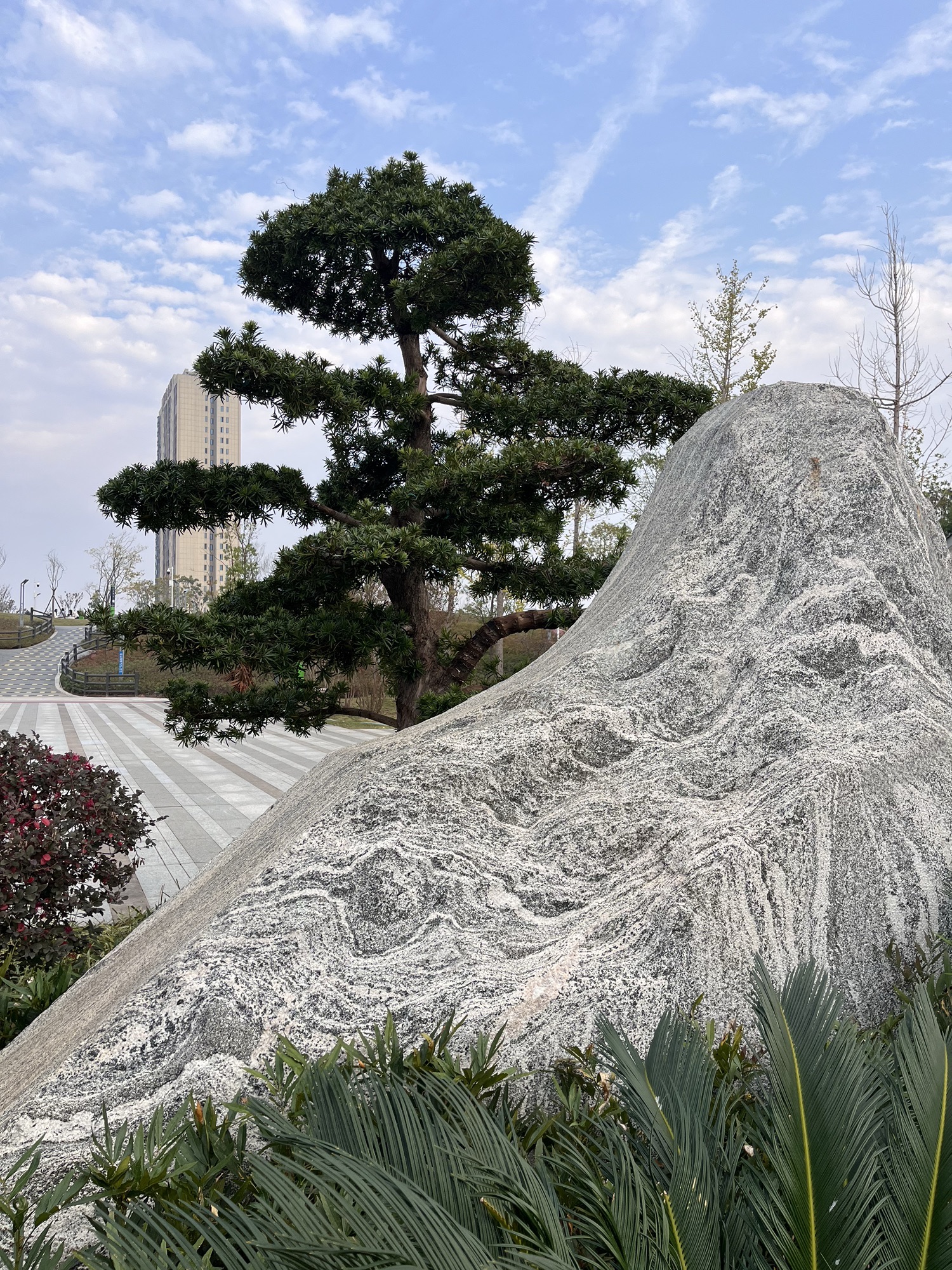 龙华公园旅行图片 2