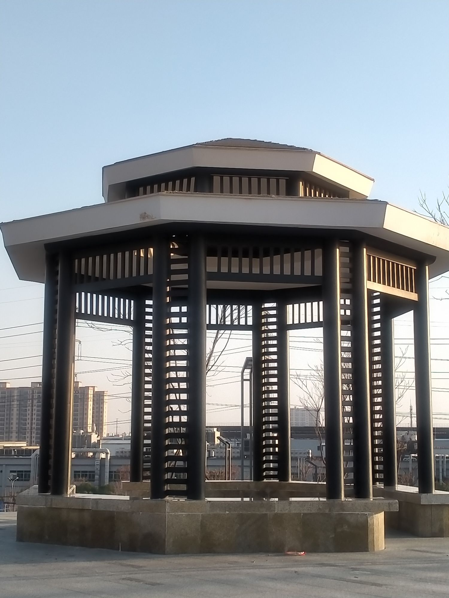 龙华公园旅行图片 1