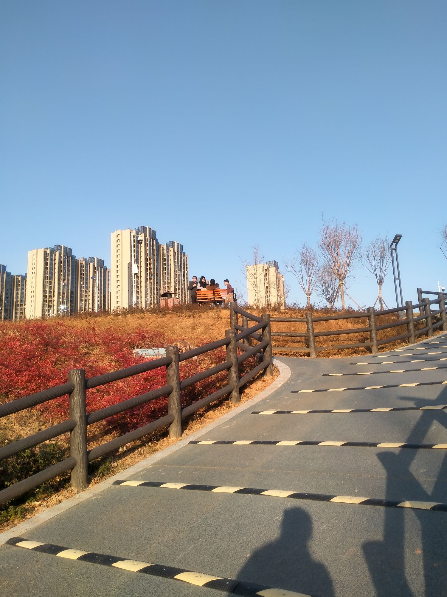 龙华公园旅行图片 3