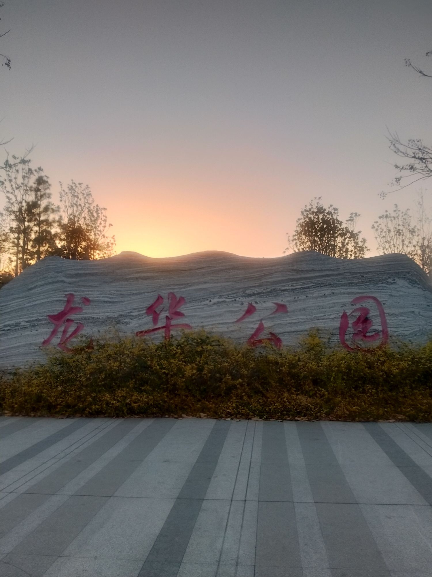 龙华公园旅行图片 2