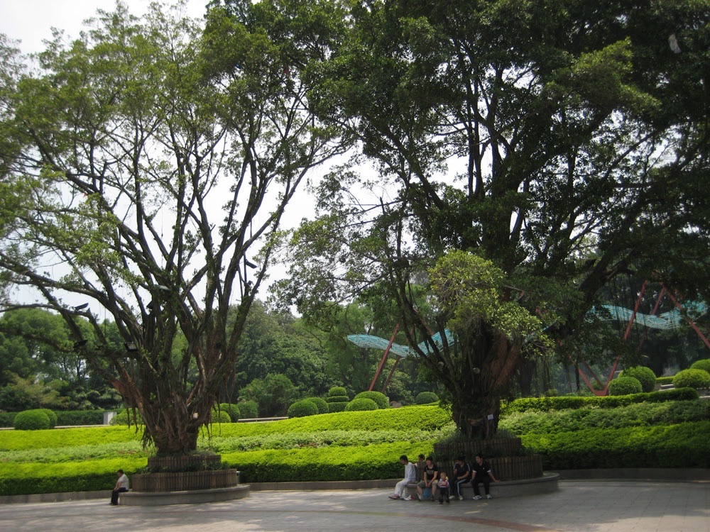 金牛山体育公园旅行图片 1