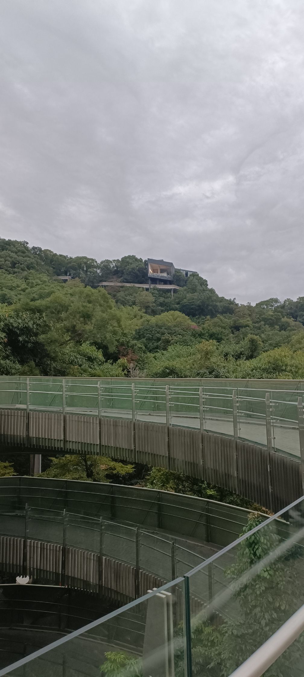金牛山体育公园旅行图片 2