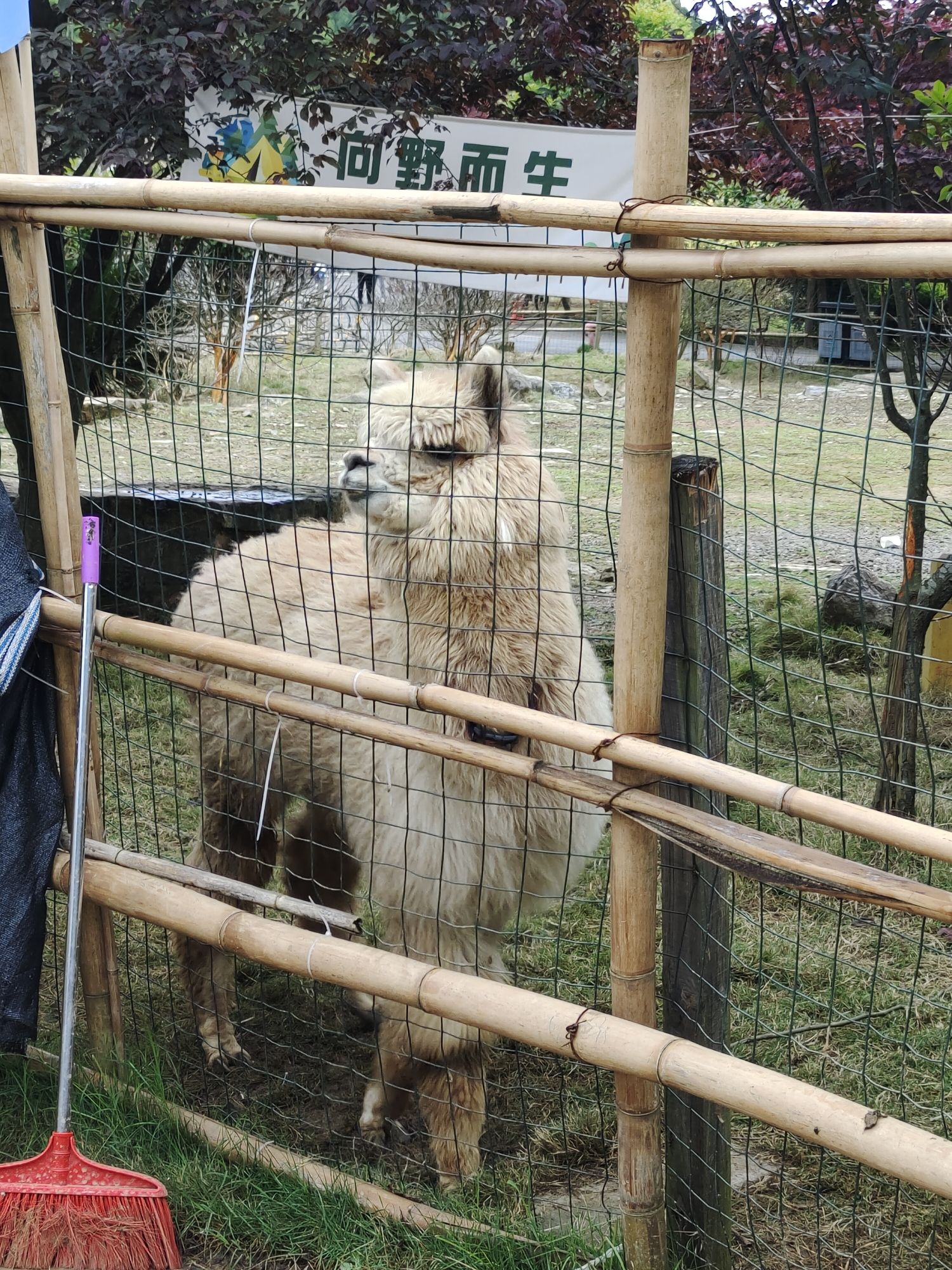 贵州农业旅游博览园旅行图片 2