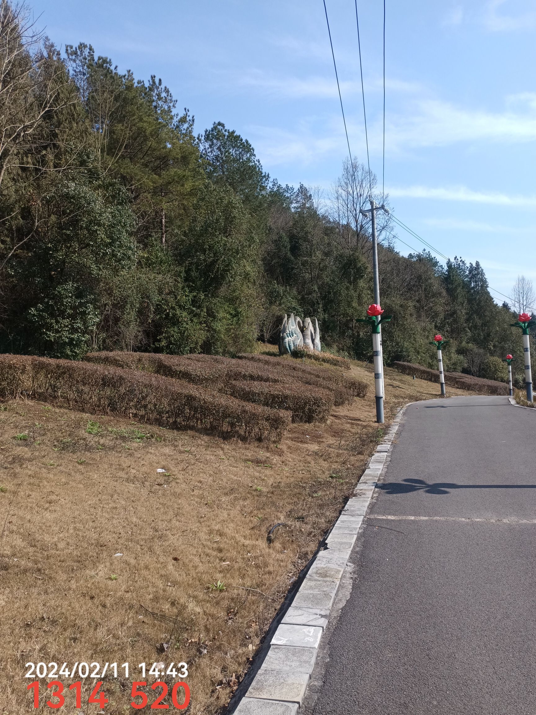贵州农业旅游博览园旅行图片 3