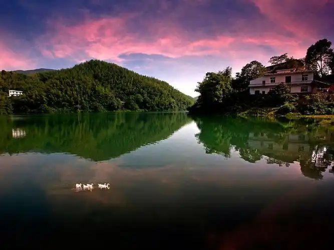 凤鸣湖旅行图片 2