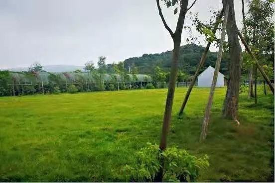稻香湾旅行图片 3