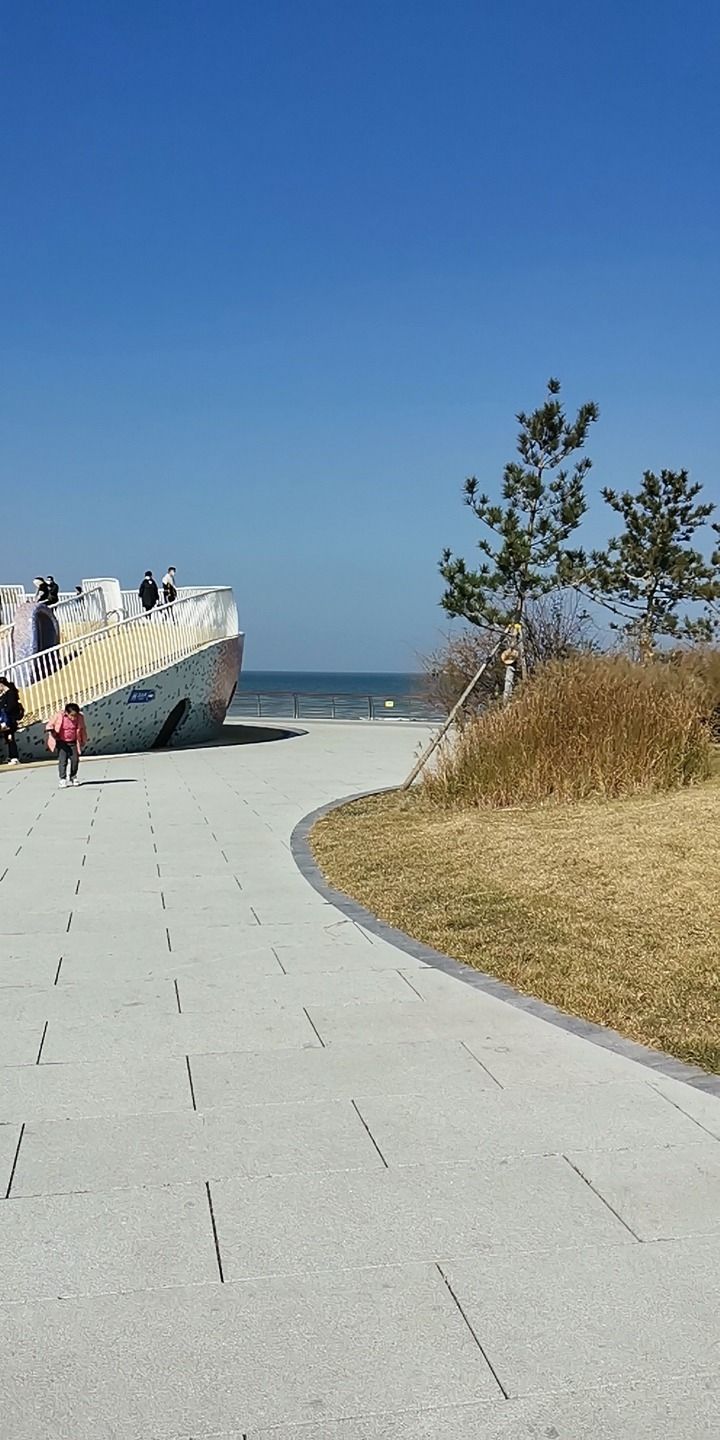扬帆广场旅行图片 3