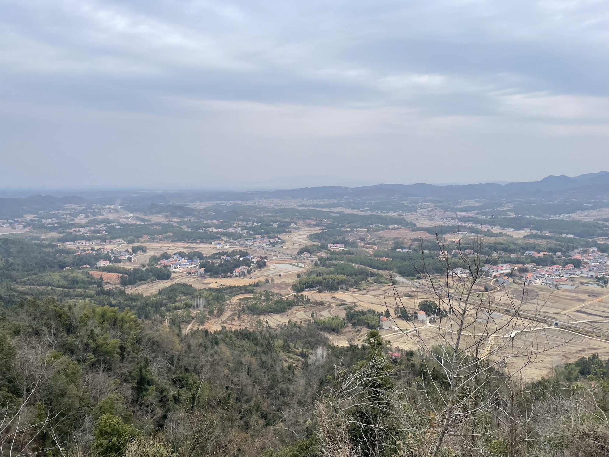 鹿苑观景台旅行图片 2