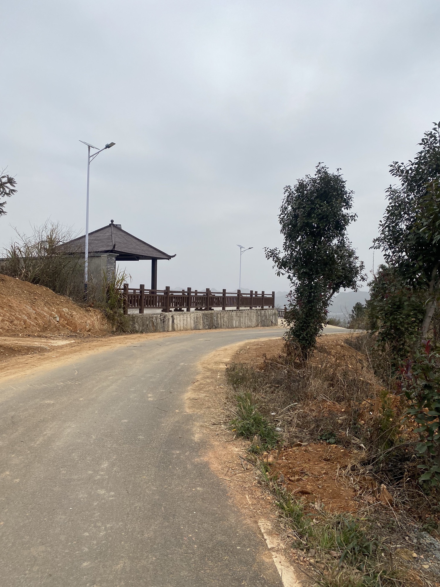 鹿苑观景台旅行图片 1