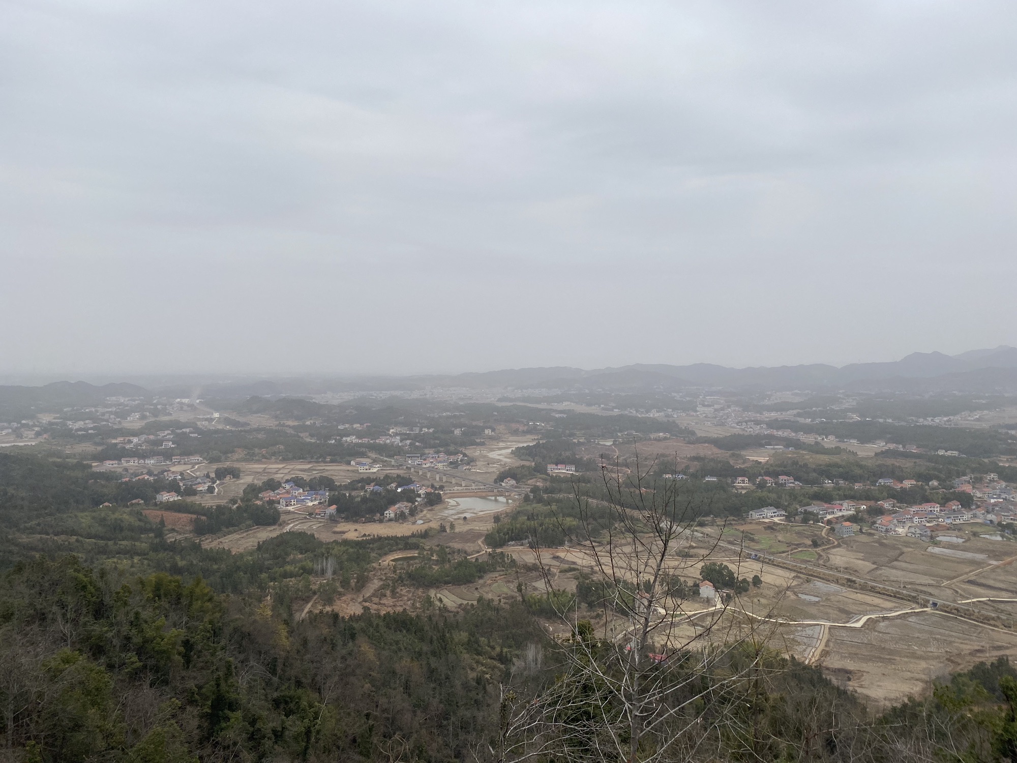 鹿苑观景台旅行图片 3