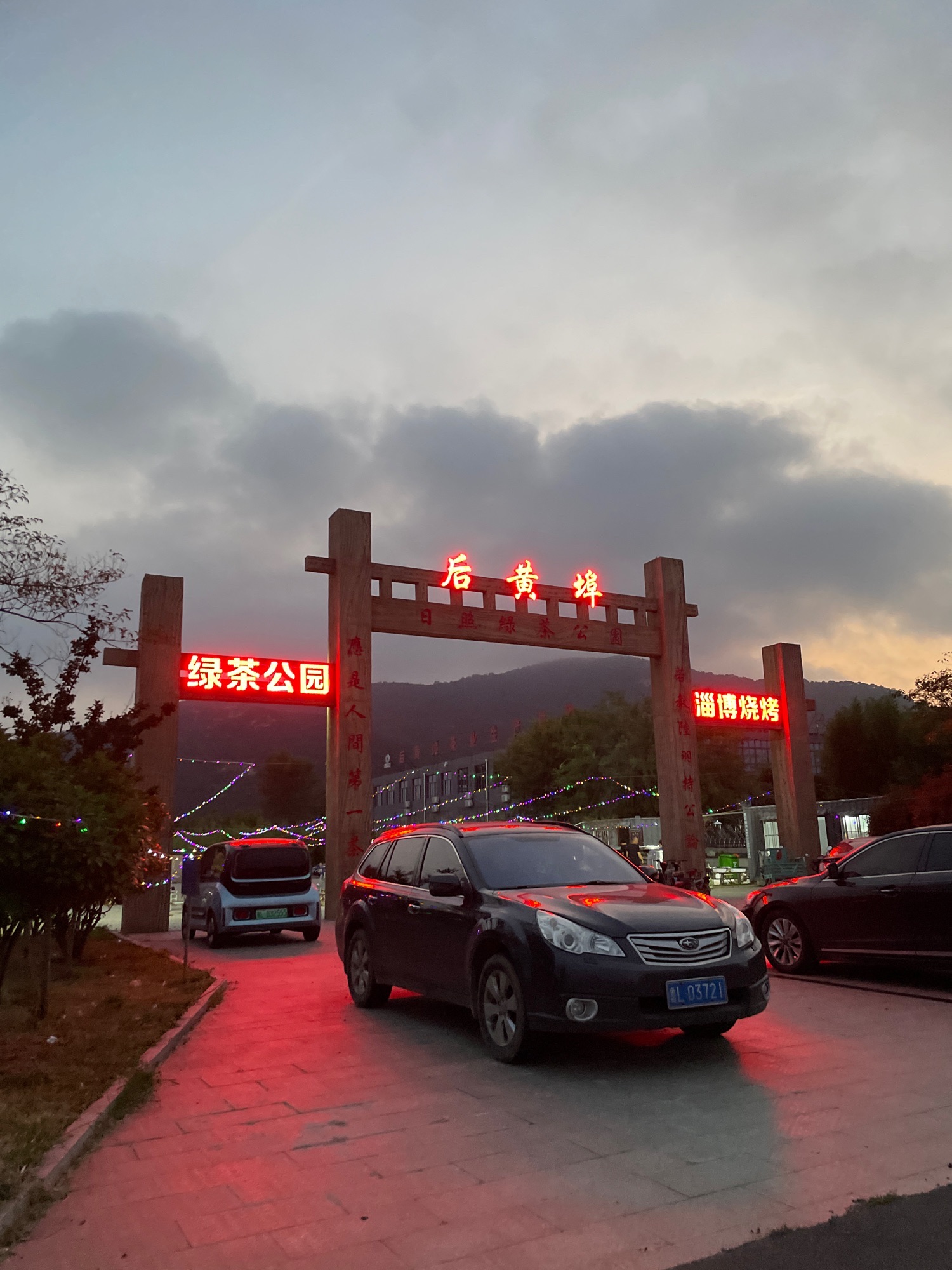 日照绿茶公园旅行图片 1