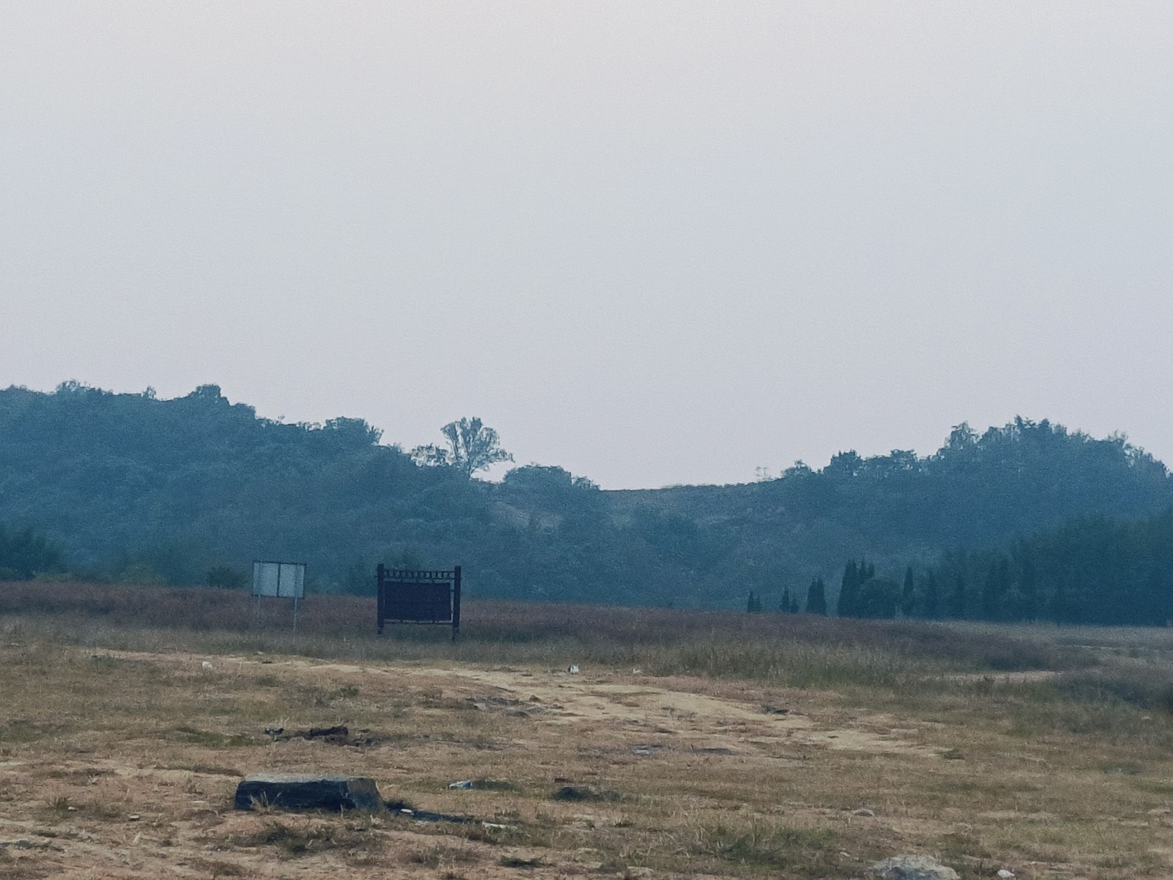 毛湾冬泳基地旅行图片 1