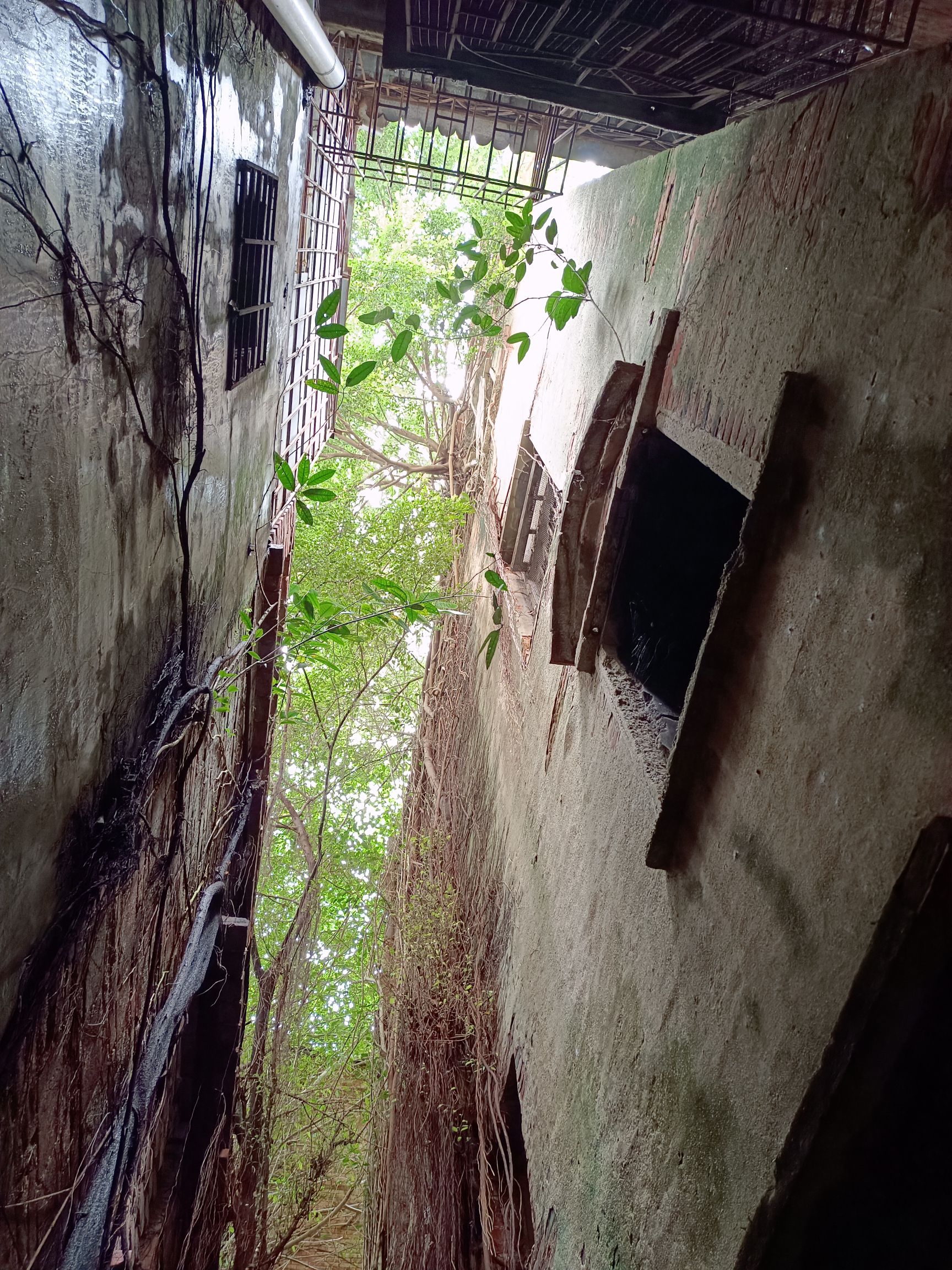 平安街4号古渡口码头原址旅行图片 2