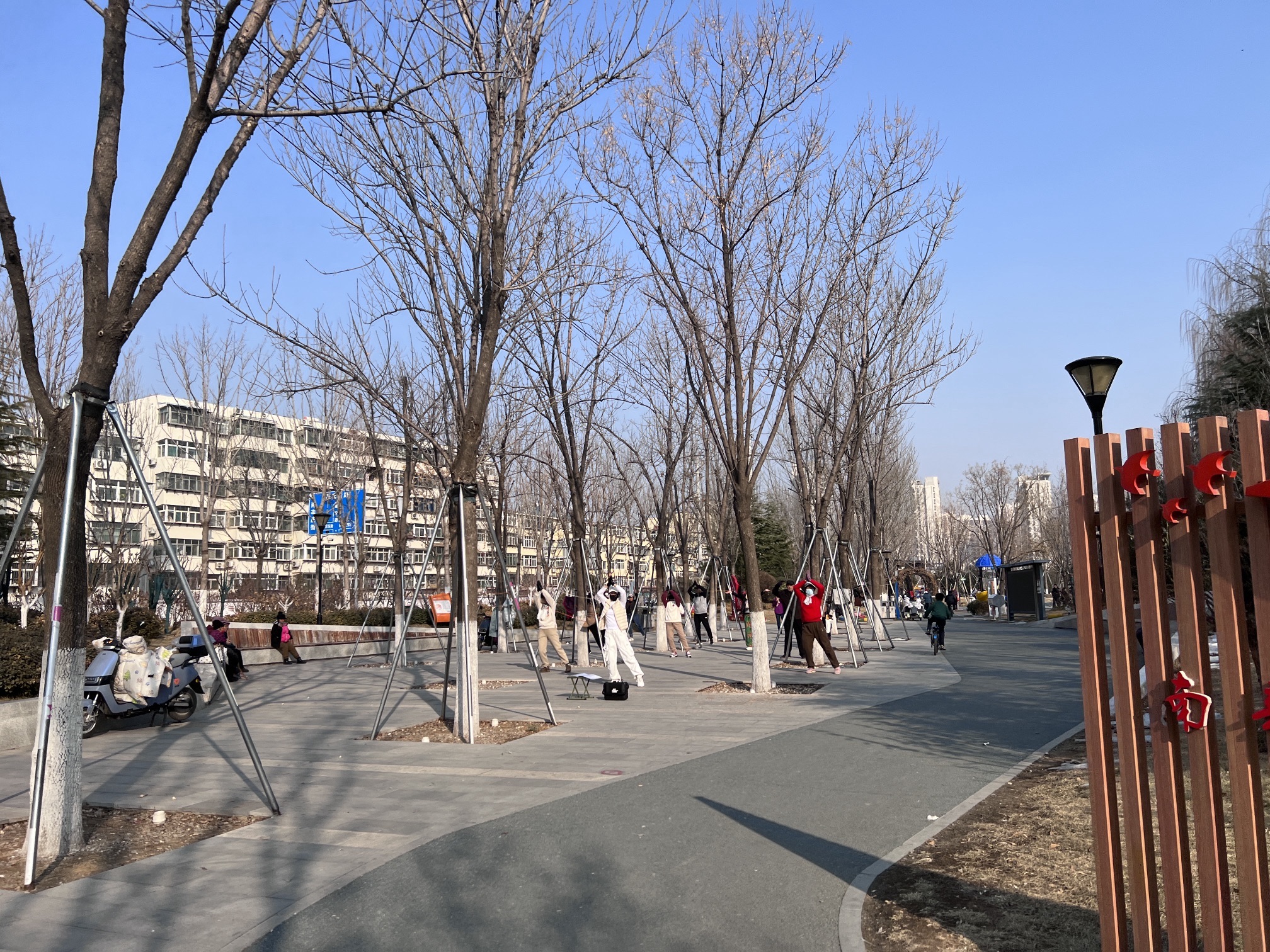 南辛康养公园旅行图片 3