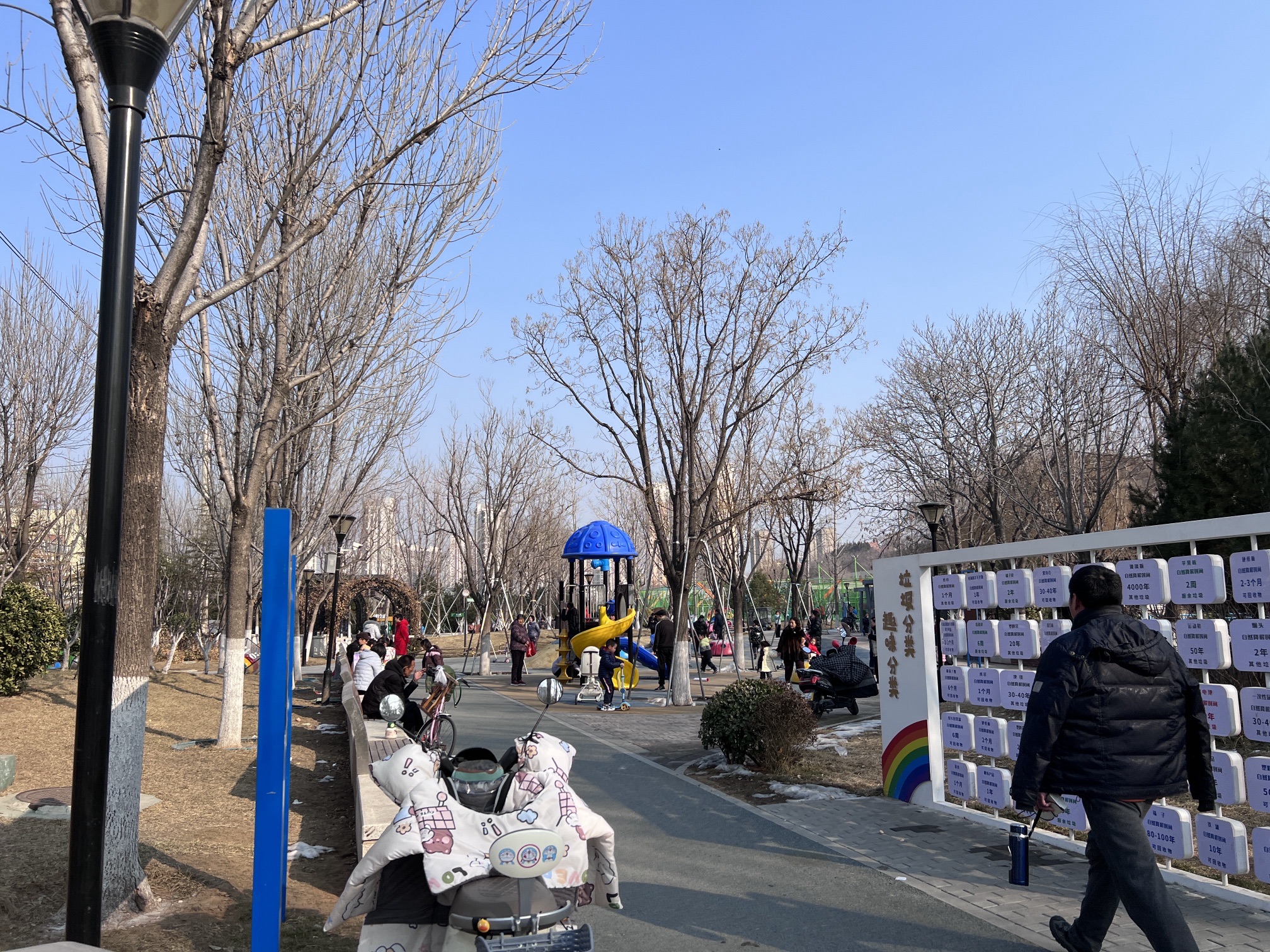 南辛康养公园旅行图片 1