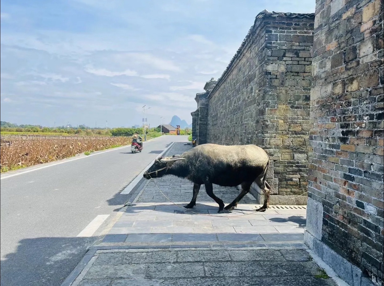 永福县罗锦镇崇山古民居旅行图片 2