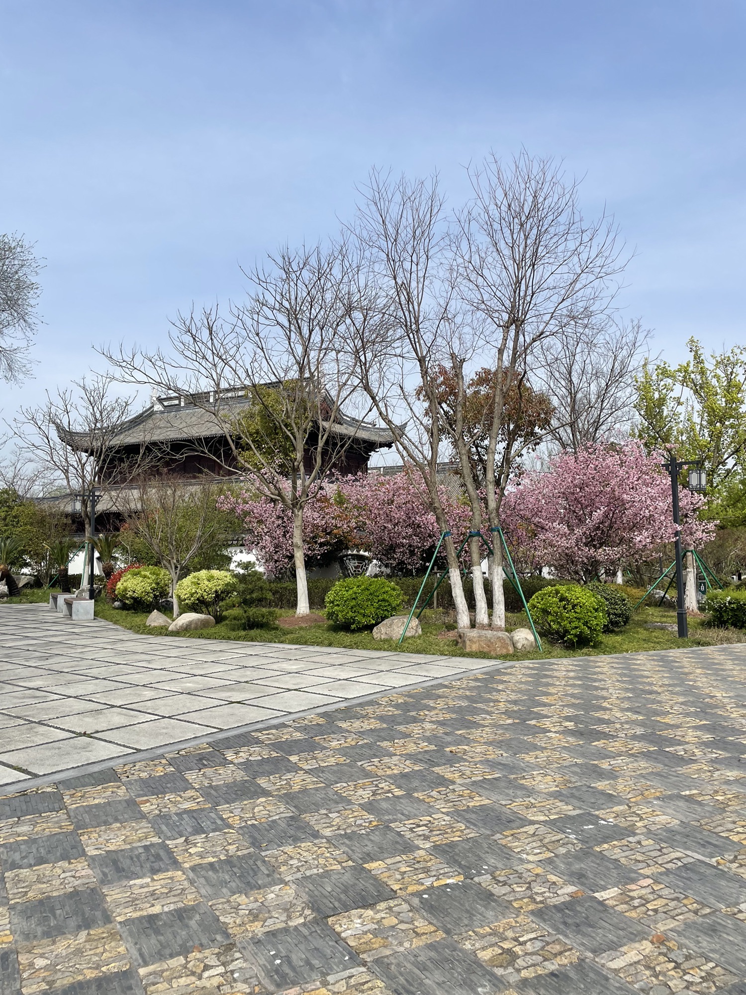 青溪园旅行图片 2