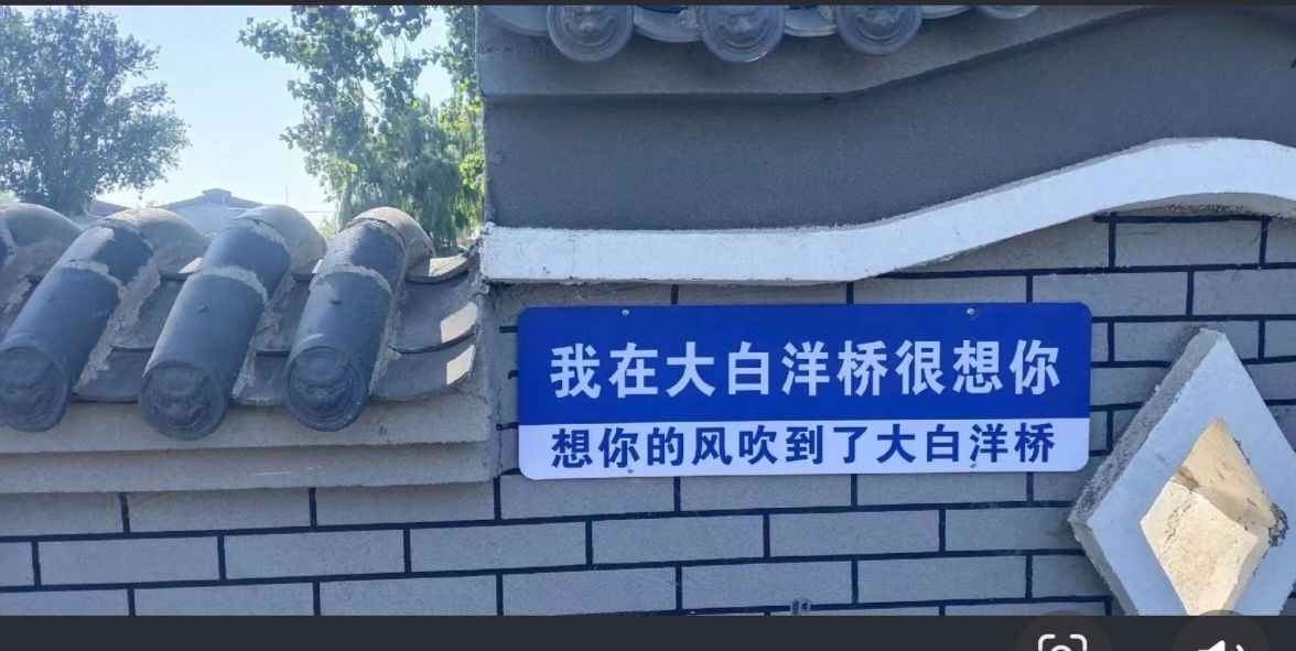 大白洋桥村荷花风景游览区旅行图片 1