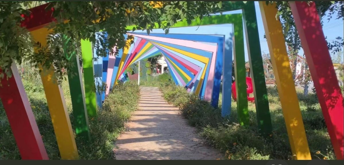 大白洋桥村荷花风景游览区旅行图片 3