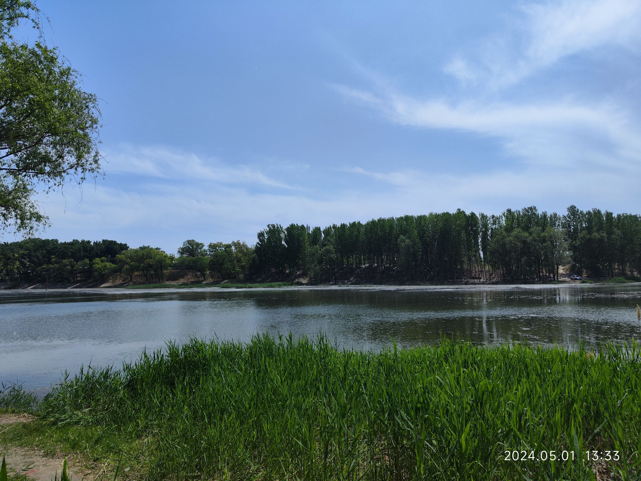 大白洋桥村荷花风景游览区旅行图片 2