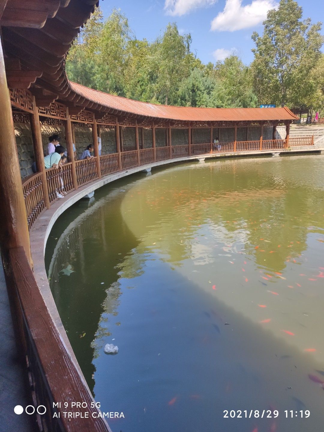 西丰小东沟森林公园旅行图片 2