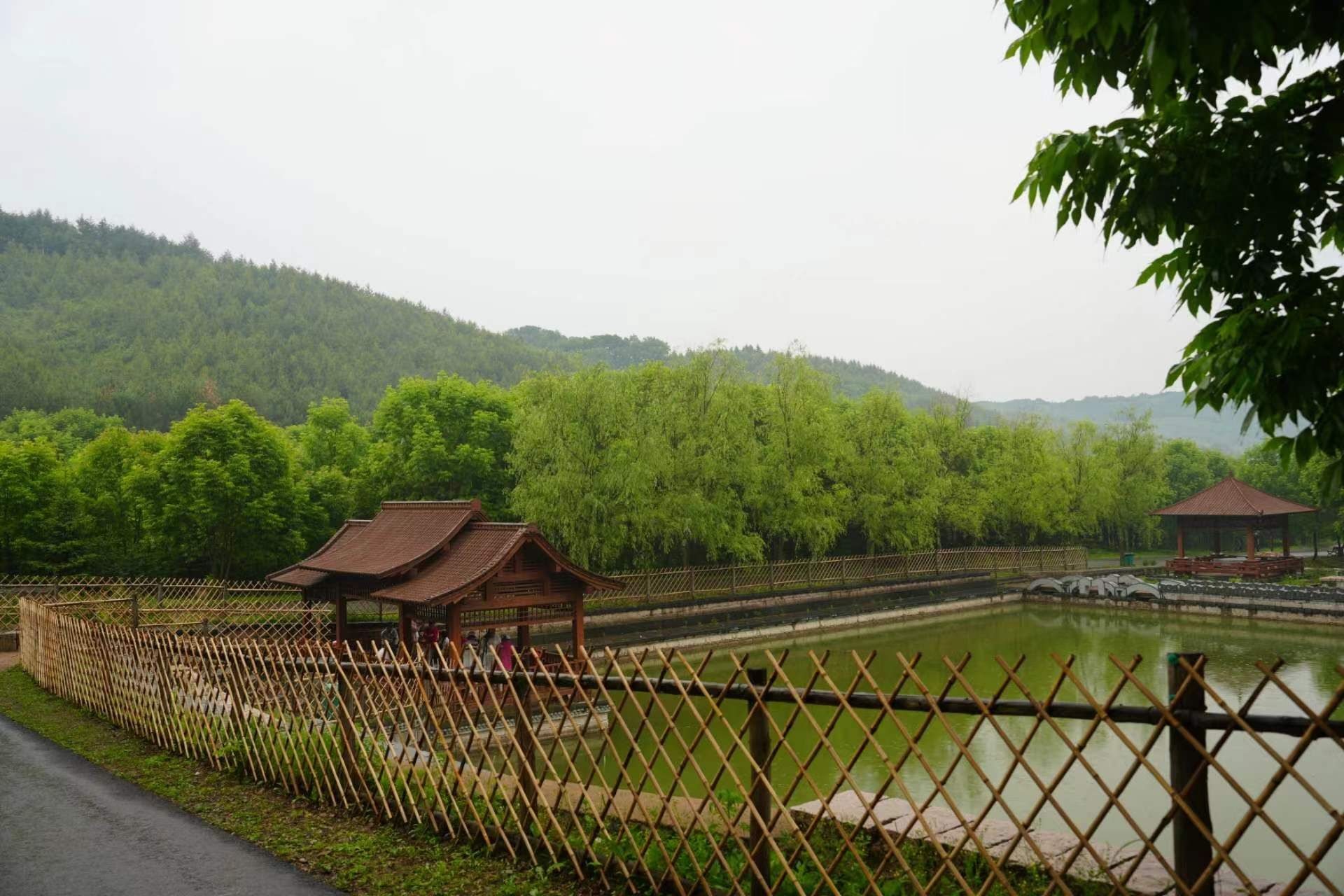 西丰小东沟森林公园旅行图片 3