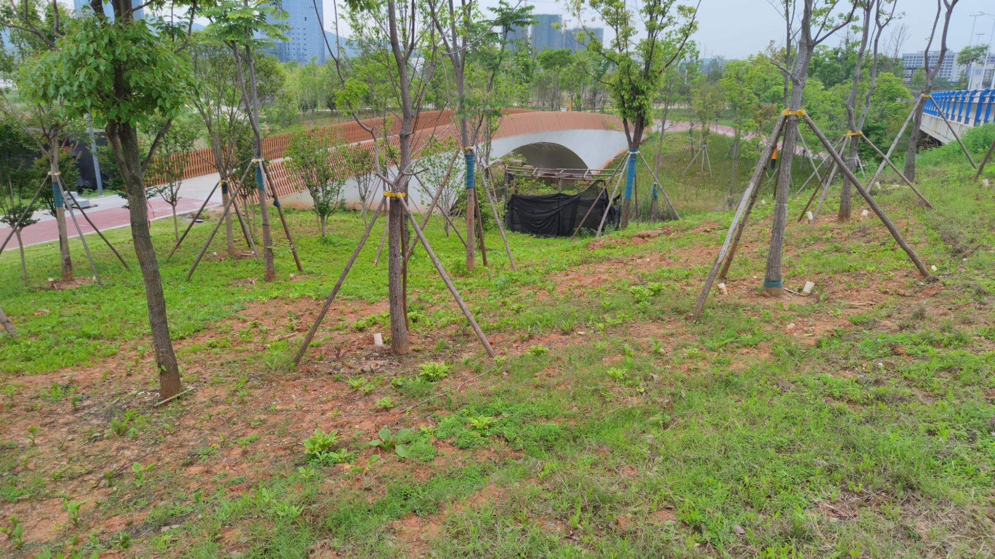 株洲市清水塘城市公园旅行图片 2
