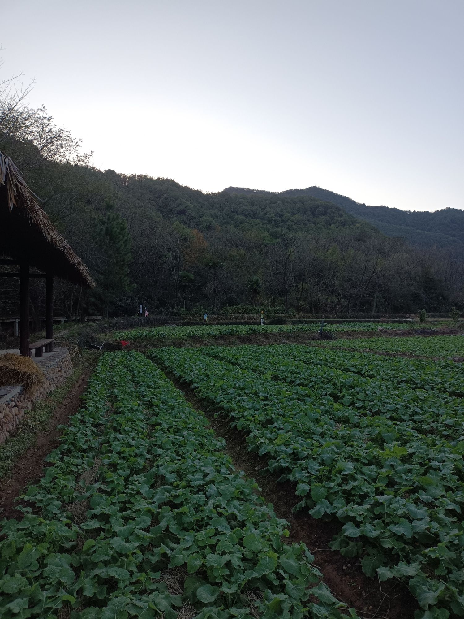 太甲青山景区旅行图片 2