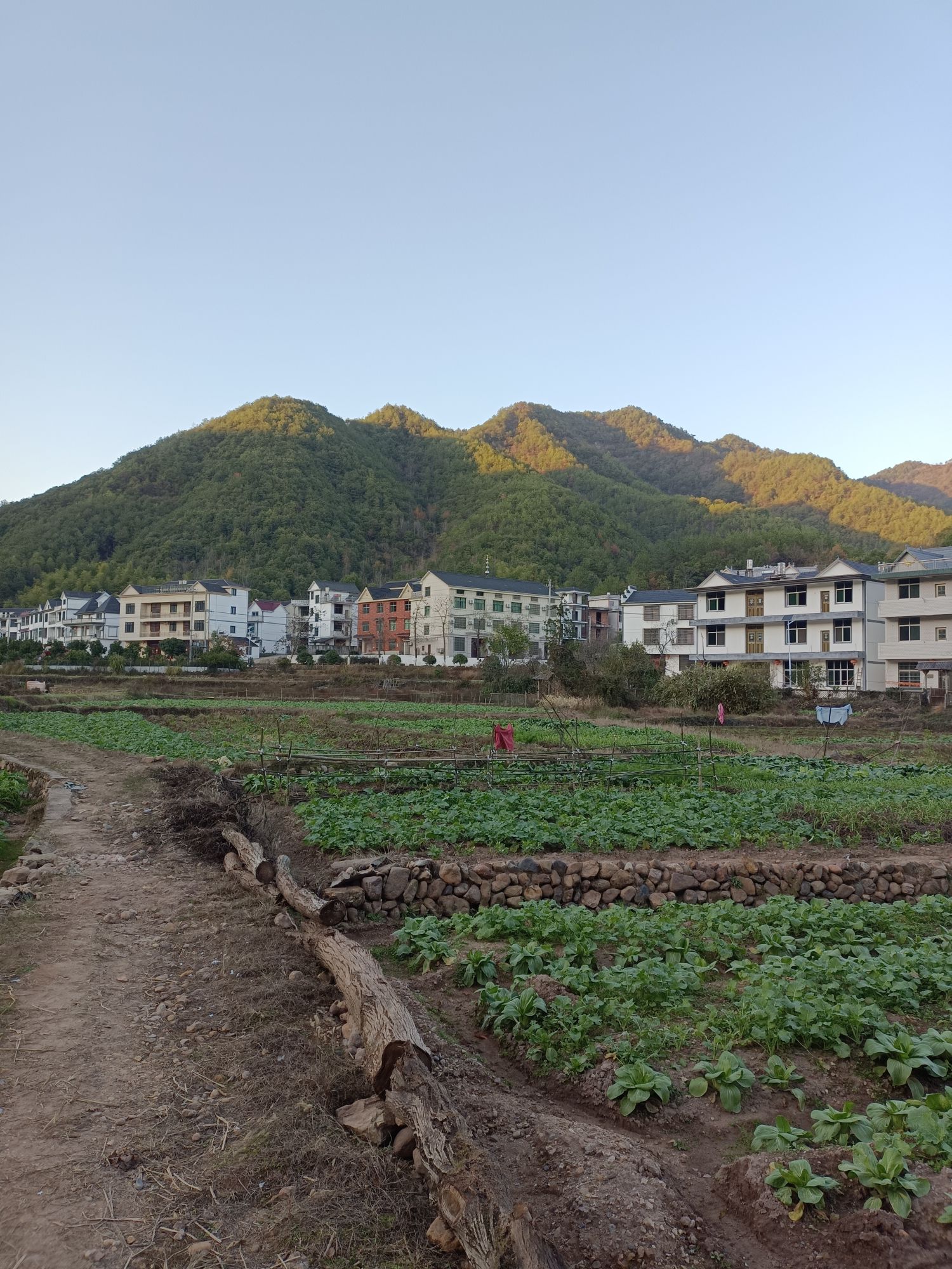 太甲青山景区旅行图片 1
