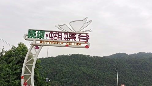 蝴蝶谷旅行图片 3