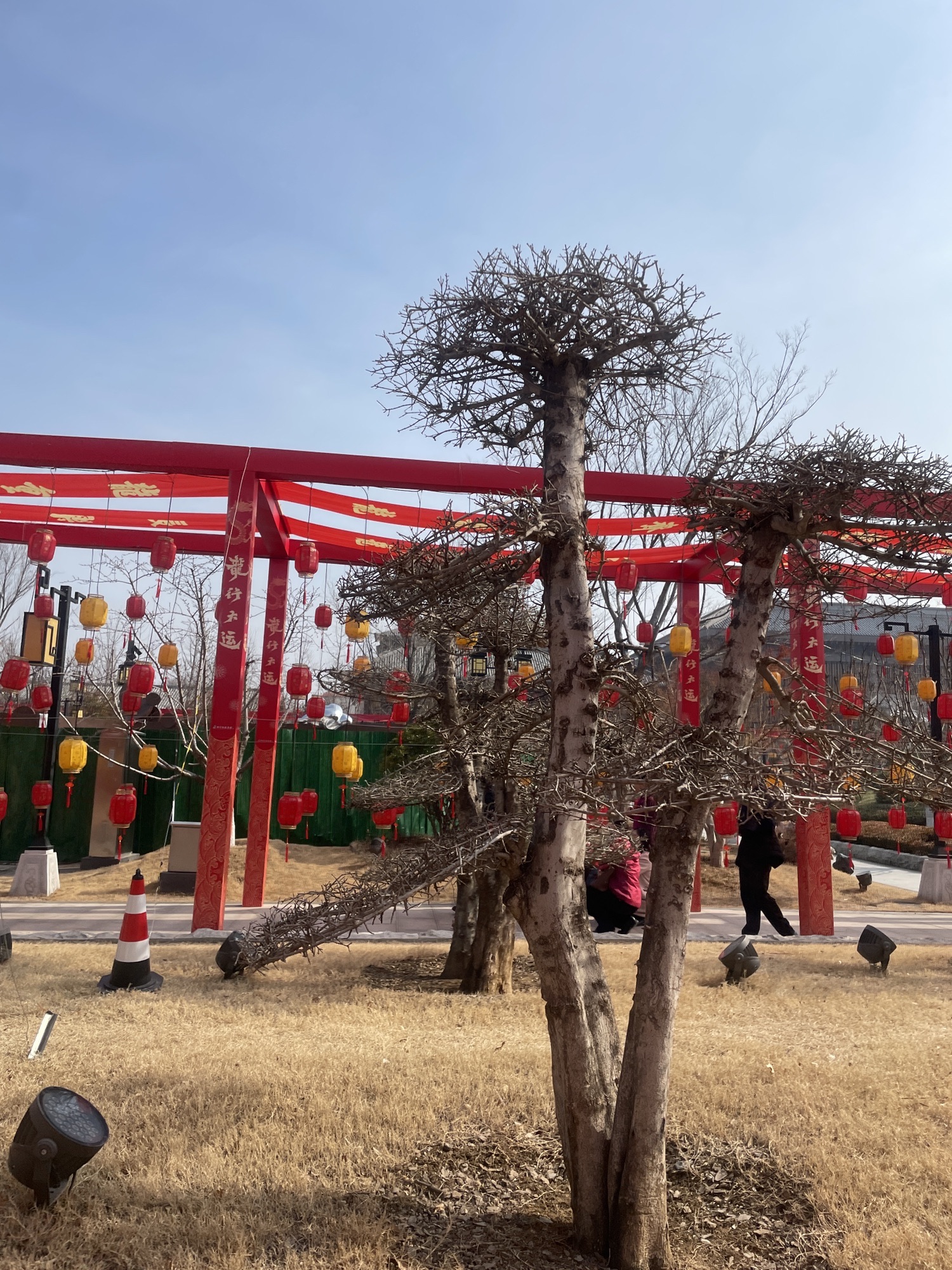 银雀山兵学文化公园旅行图片 1