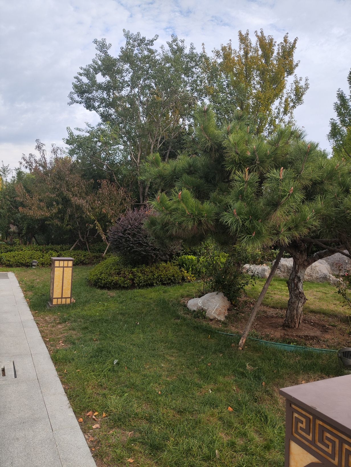 银雀山兵学文化公园旅行图片 3