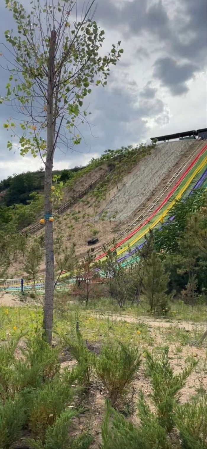 迪山云顶景区旅行图片 3