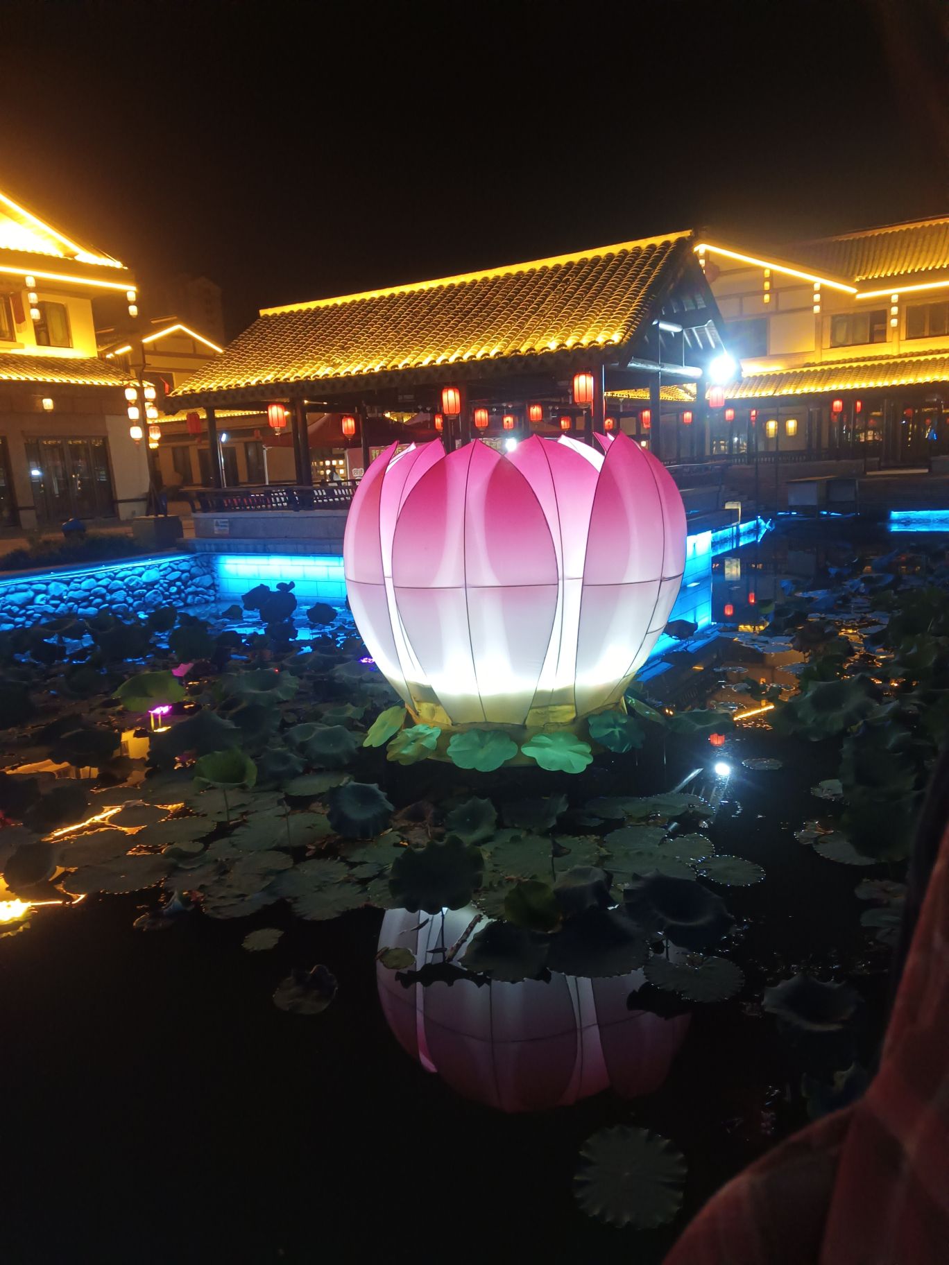 江西宁州水乡旅游度假区旅行图片 1