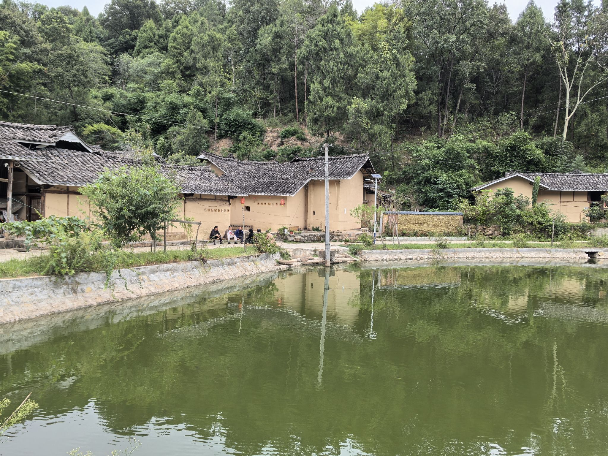 莲花池旅行图片 1