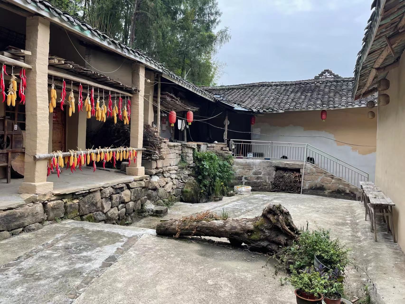 莲花池旅行图片 3