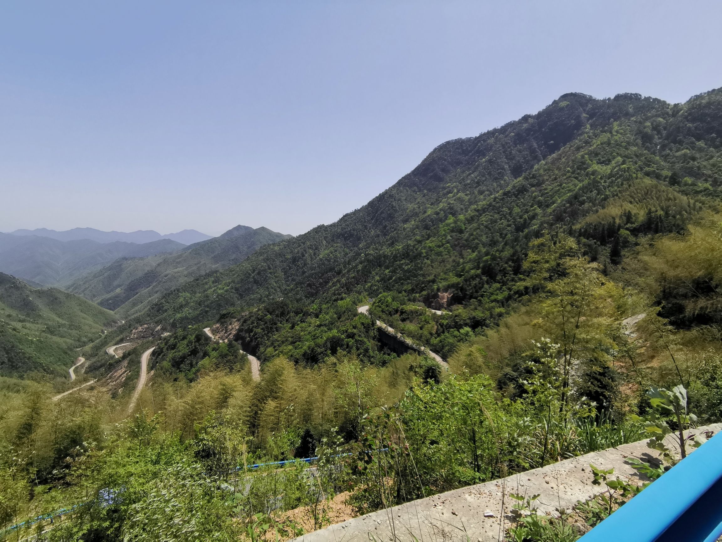阳际峰自然保护区旅行图片 1