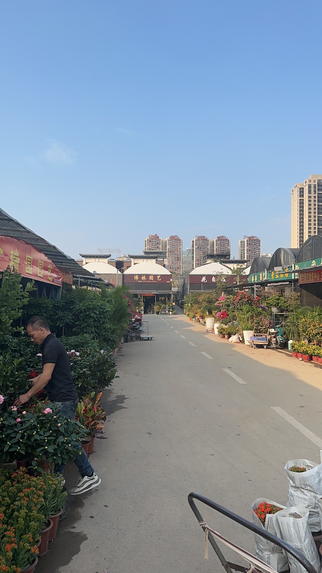 中生大运花卉中心