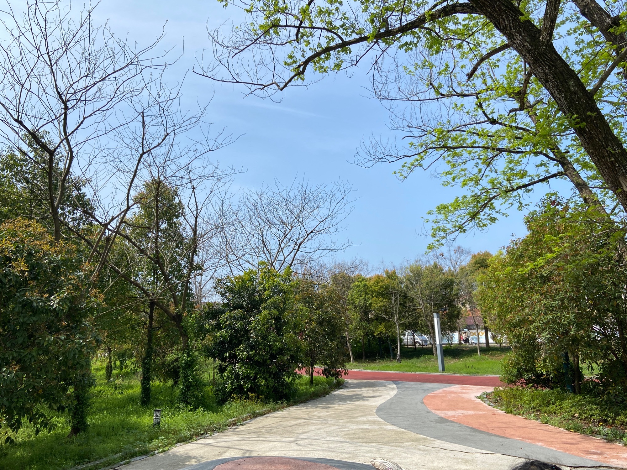 滨水海绵公园旅行图片 3