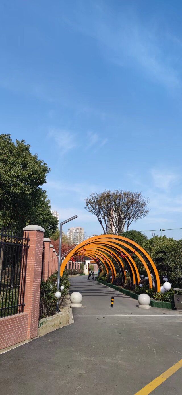 向阳体育公园旅行图片 2