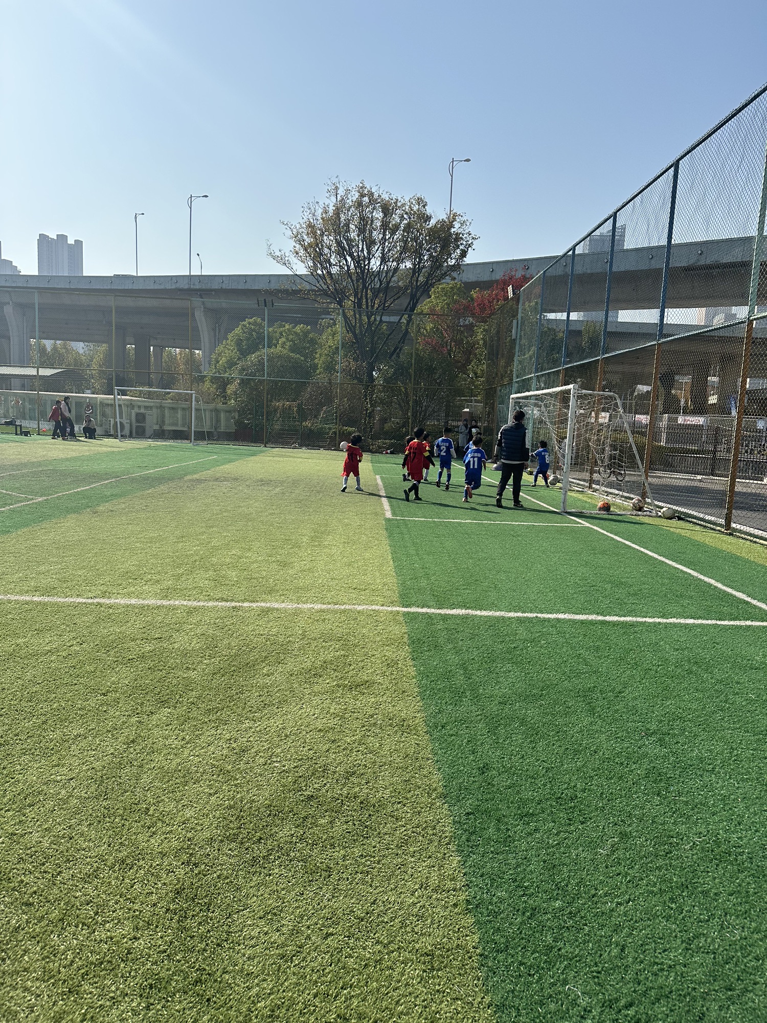 向阳体育公园旅行图片 3