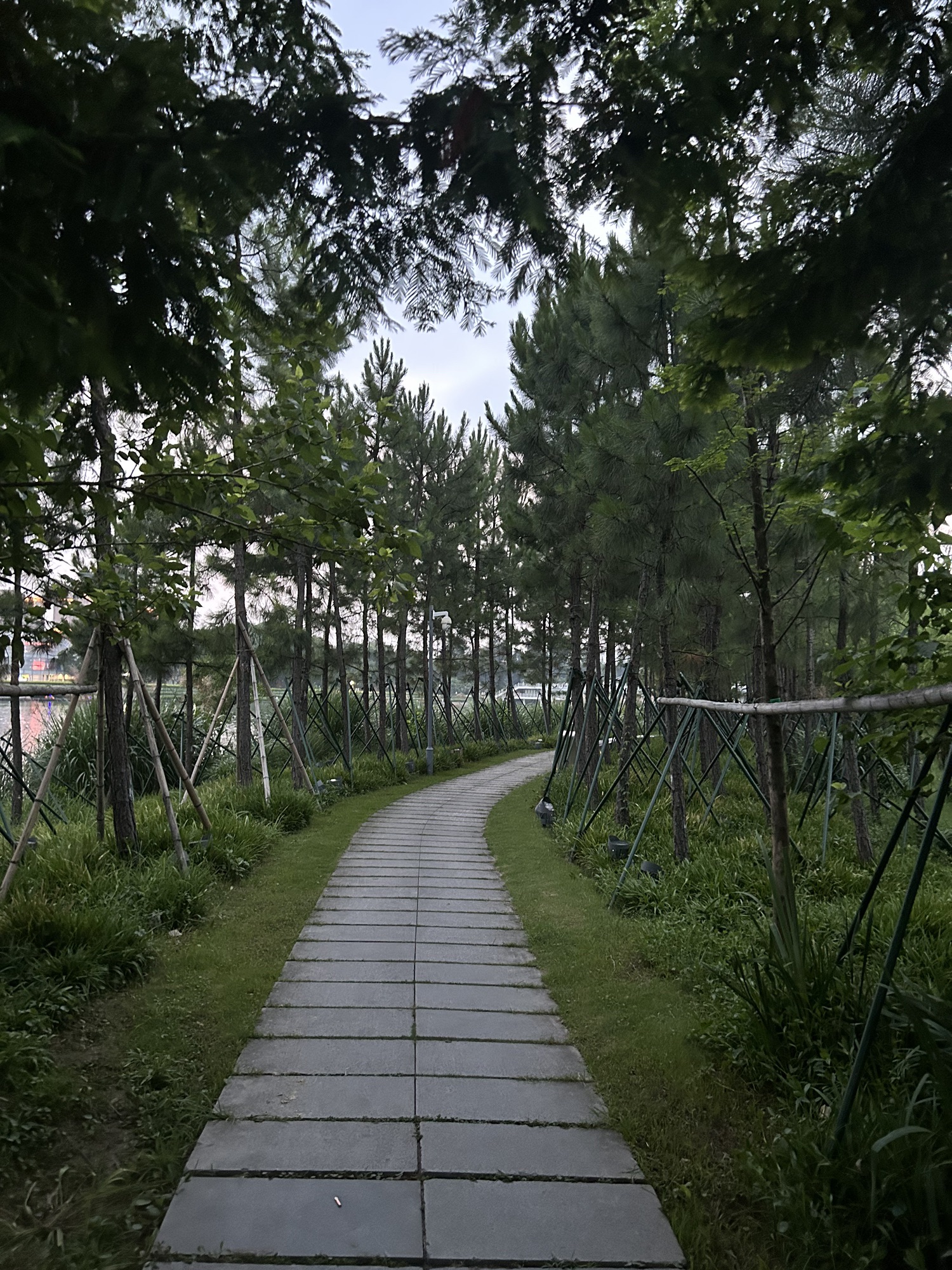 黄岩江北公园旅行图片 2