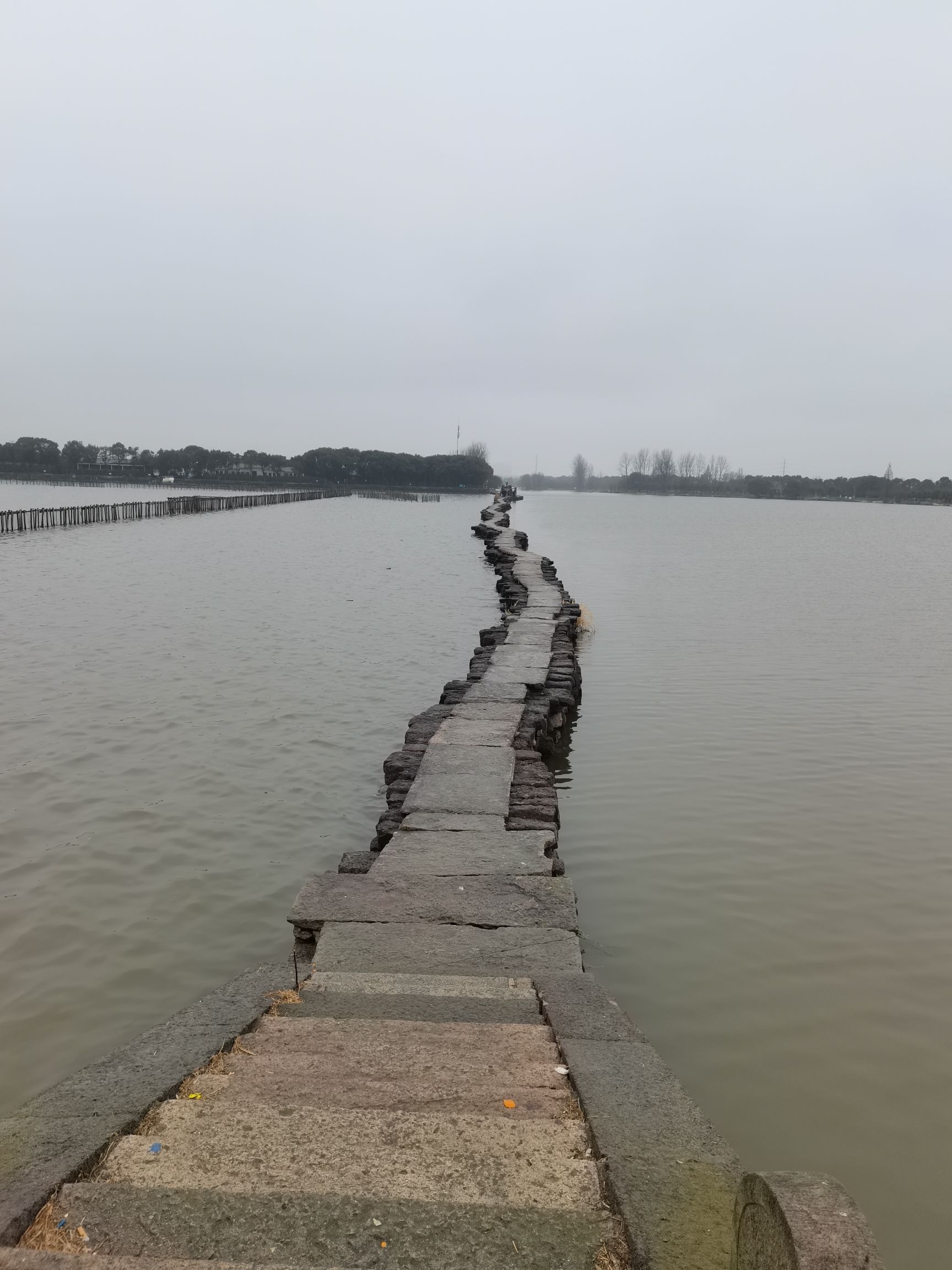 怏搽湖避塘休闲农业旅游区旅行图片 1