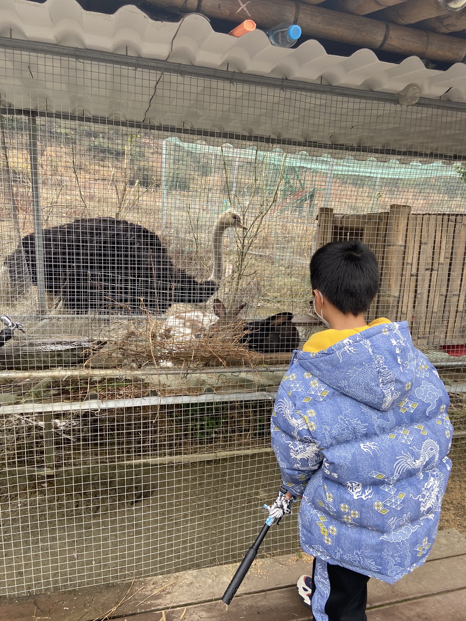 大智石刻景区旅行图片 3