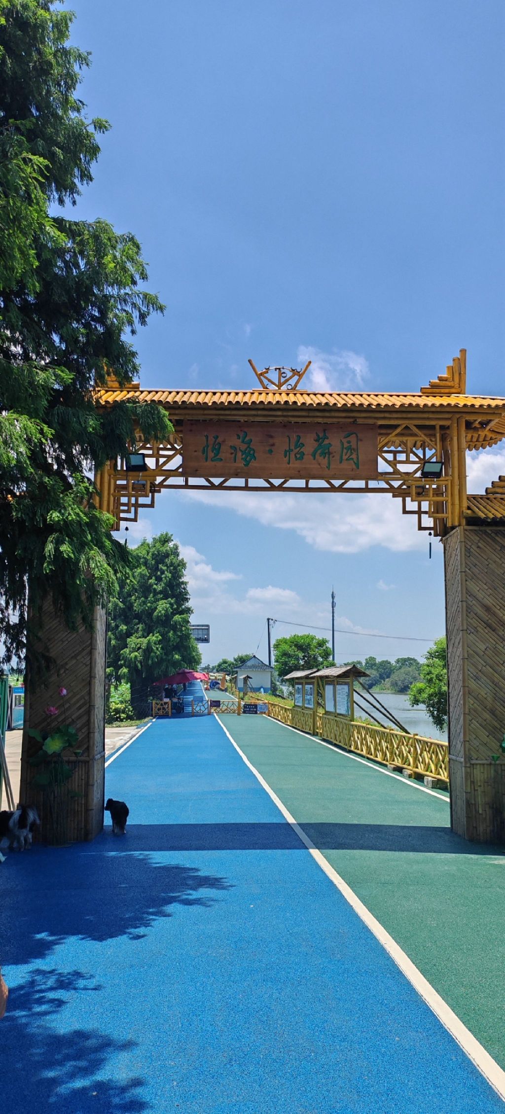 恒海怡荷园旅行图片 1