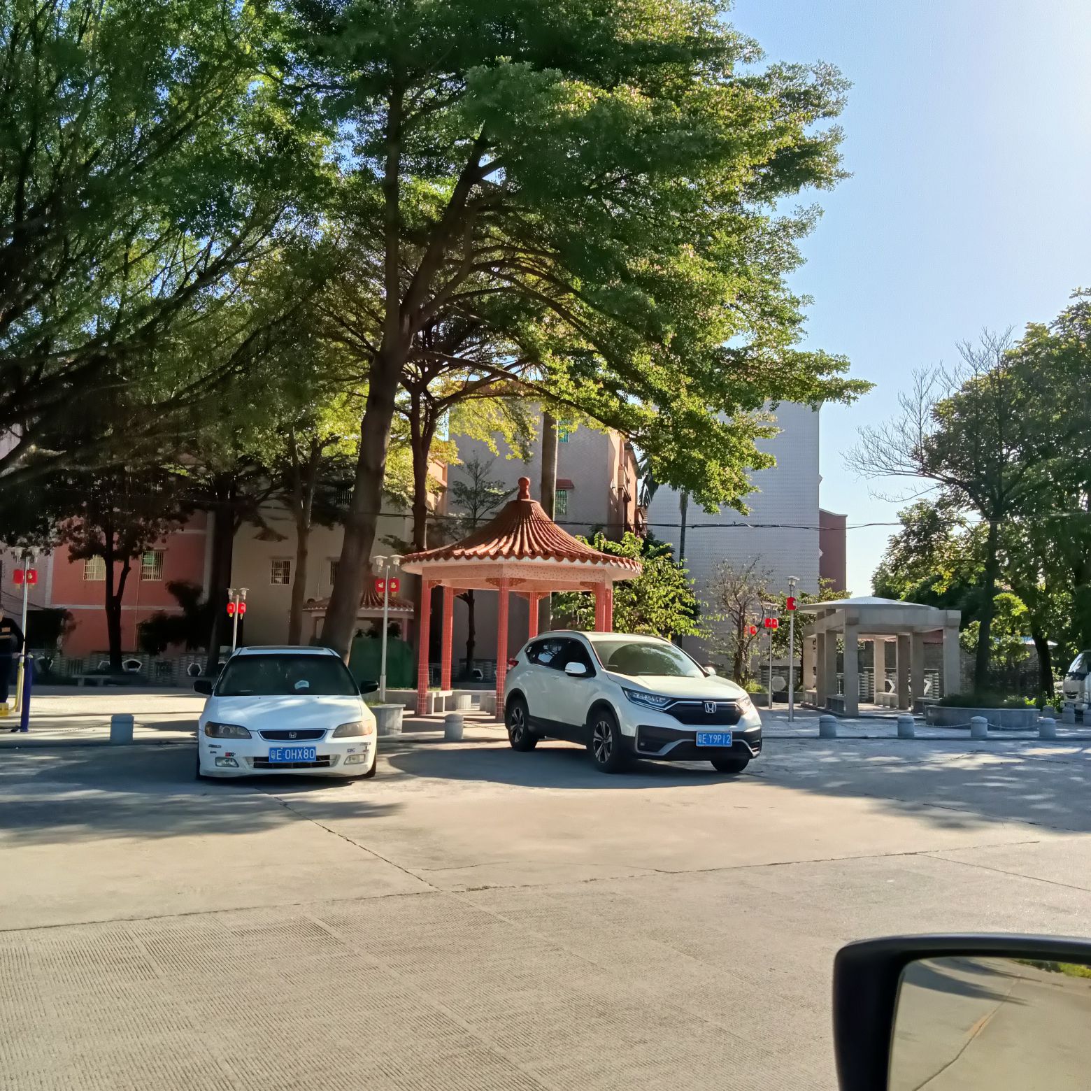 灶沙公园旅行图片