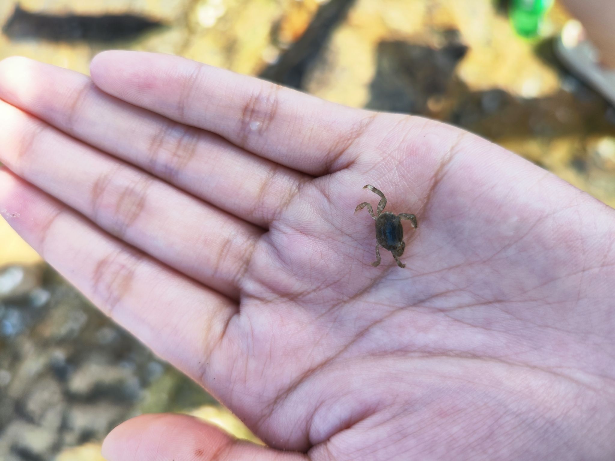 肥家庄秀水海滩公园旅行图片 3