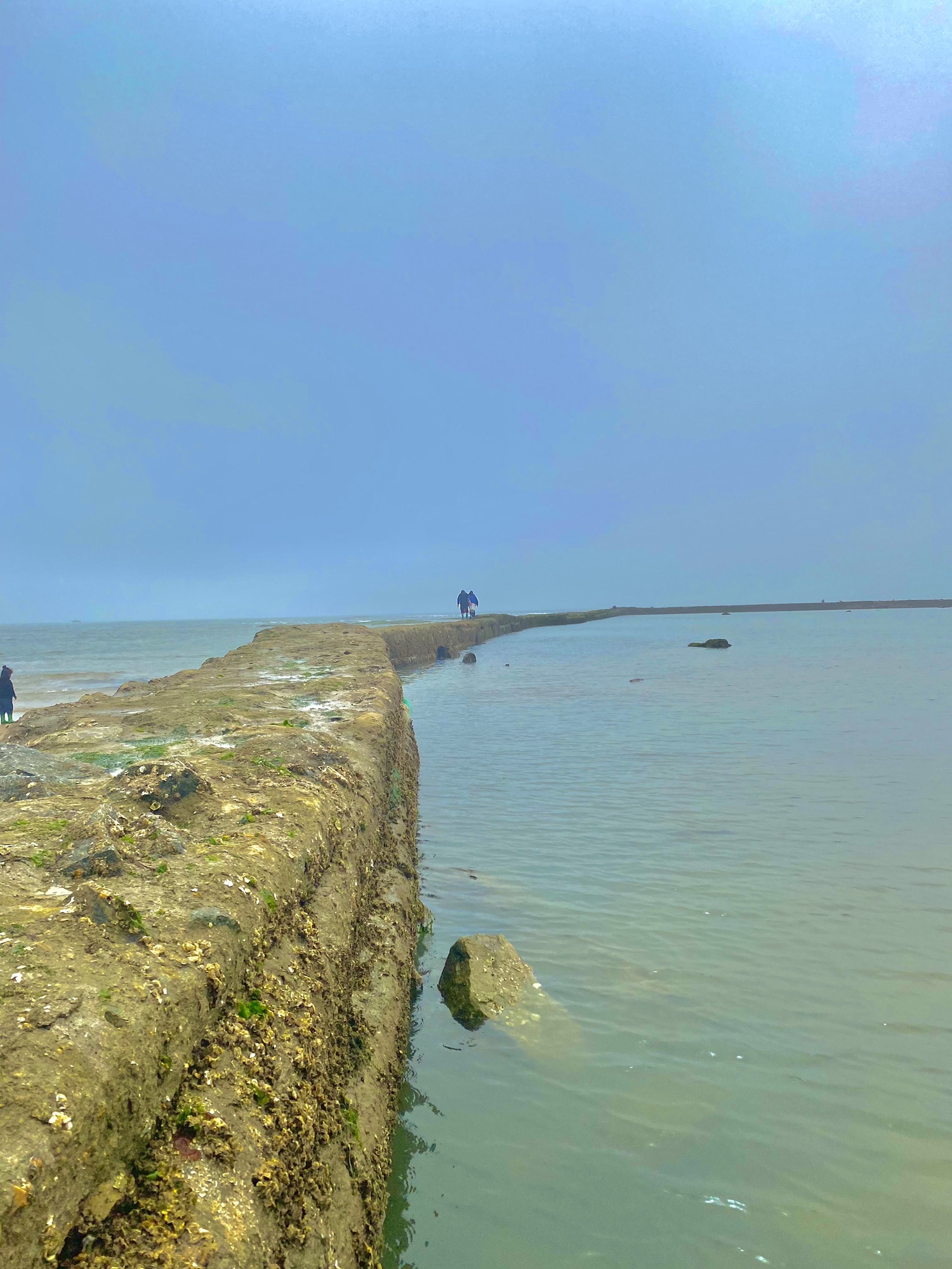 肥家庄秀水海滩公园旅行图片 2