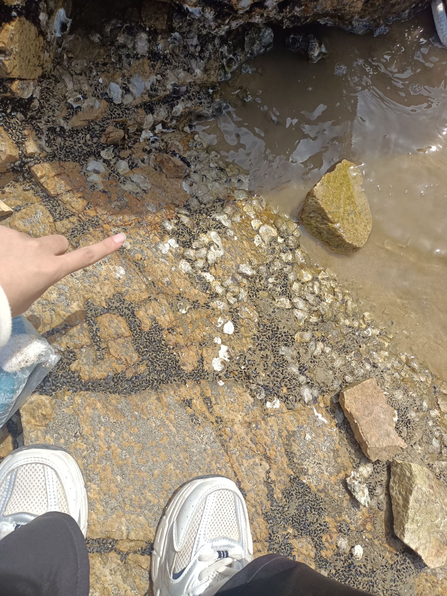 肥家庄秀水海滩公园旅行图片 3